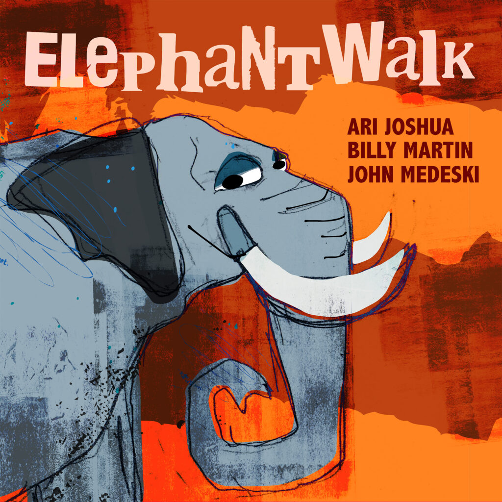 “Elephant Walk” by Ari Joshua featuring John Medeski and Billy Martin